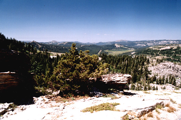 Donner Peak