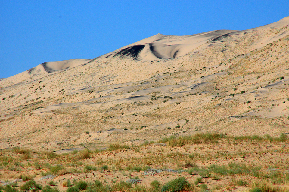 Kelso Dunes
