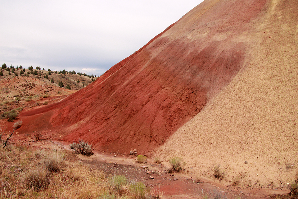 Red Hills at the John Day Fossil Beds National Monument