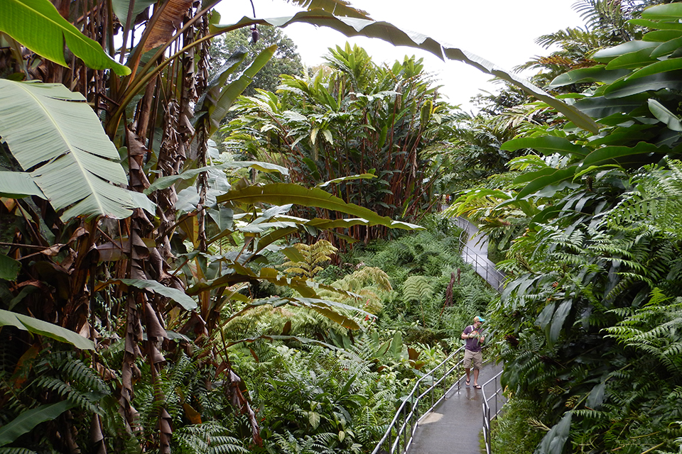 Akaka Falls