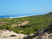 Kaena Point Hike