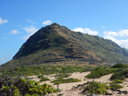 Kaena Point Hike