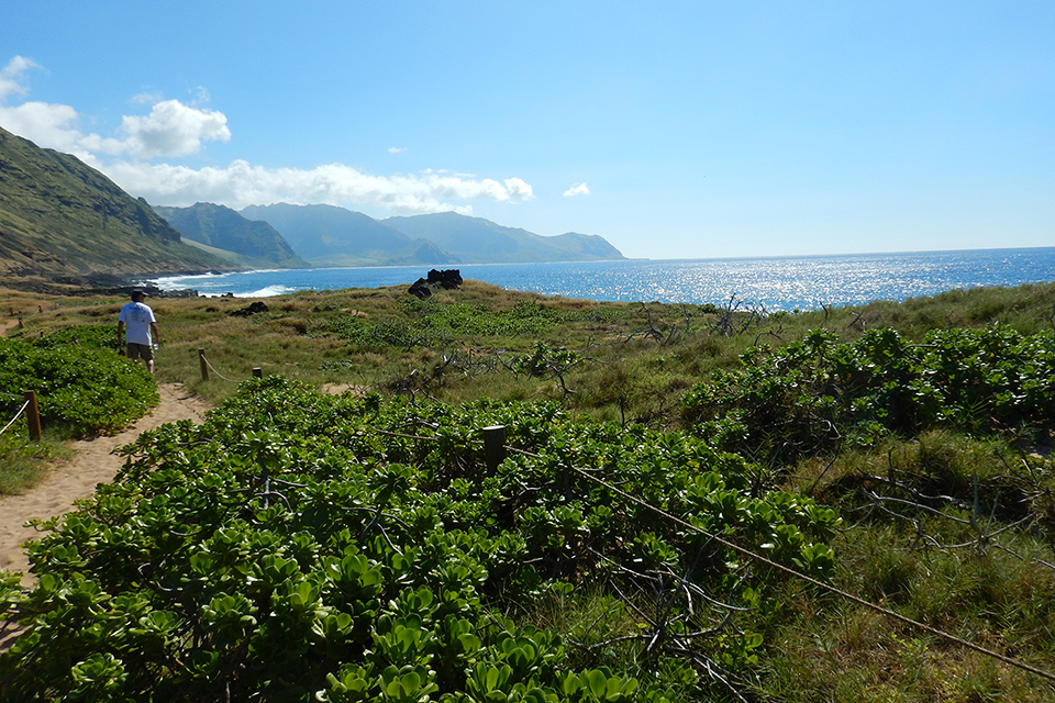 Kaena Point Trail