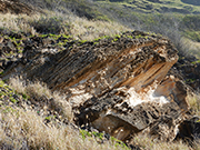 Kaena Point Hike