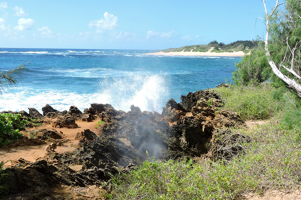 Mahaulepu Beach Trail