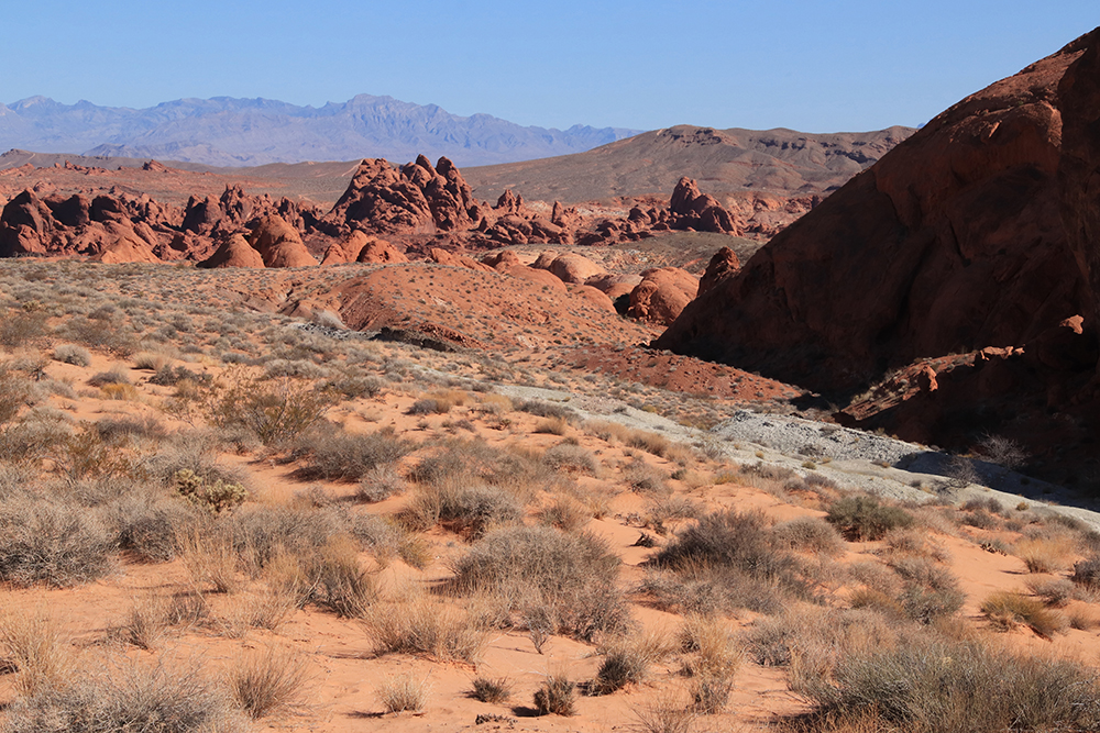 Fire Wave Trail