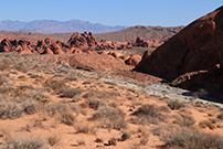 Fire Wave Trail