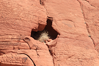 Seven Wonders Trail