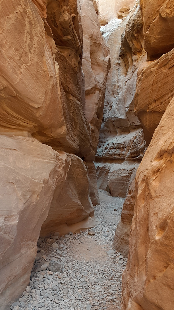White Domes Loop