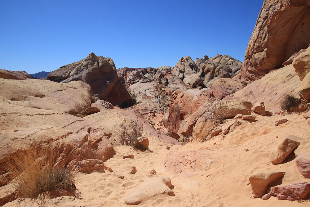 White Domes Loop