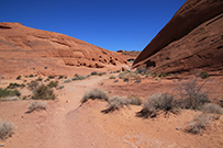 White Domes Loop