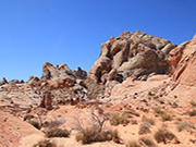 Nevada