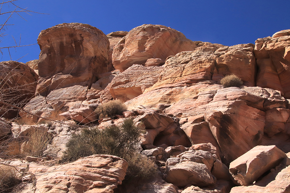 White Domes Loop