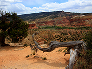 Chimney Rock Photo at Ghost Ranch