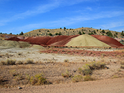 Painted Cove Trail