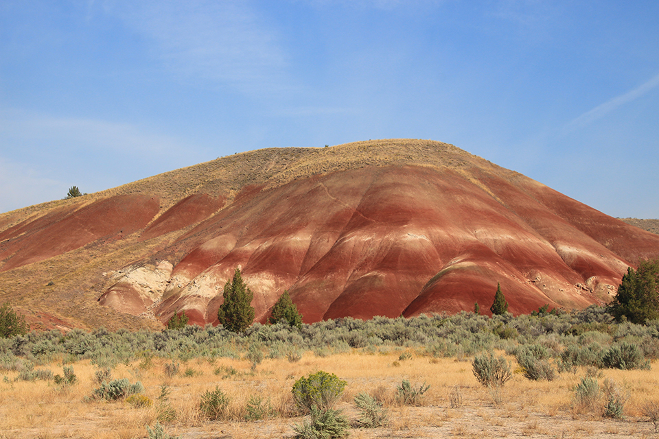 Painted Hills Overlook Trail