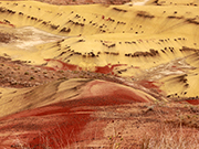 Painted Hills Overlook Trail
