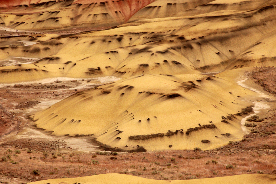 Painted Hills Overlook Trail