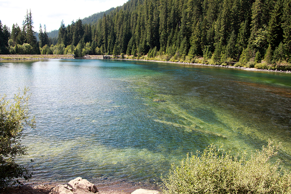Sahalie and Koosah Falls