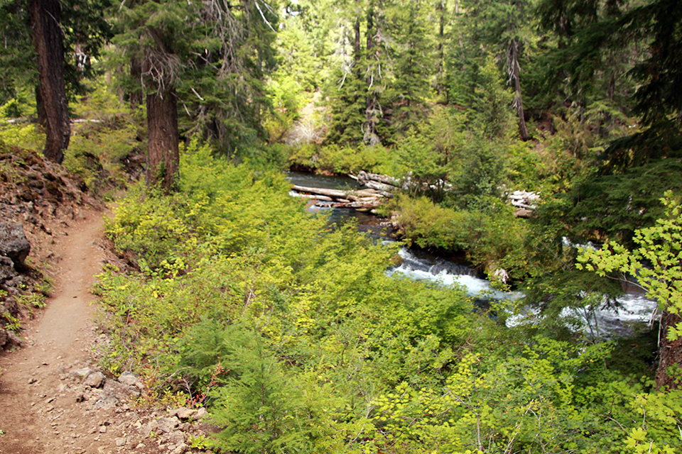 Sahalie and Koosah Falls