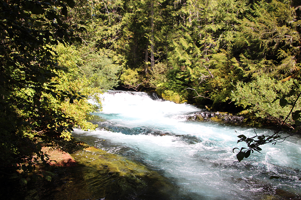 Sahalie and Koosah Falls