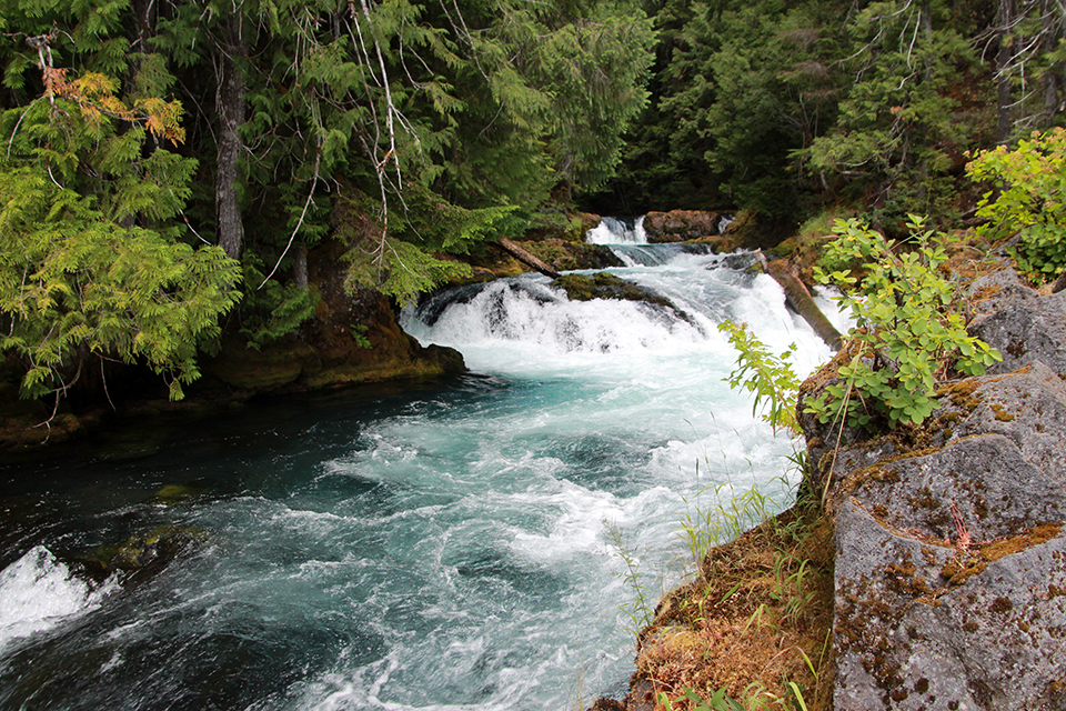 Sahalie and Koosah Falls