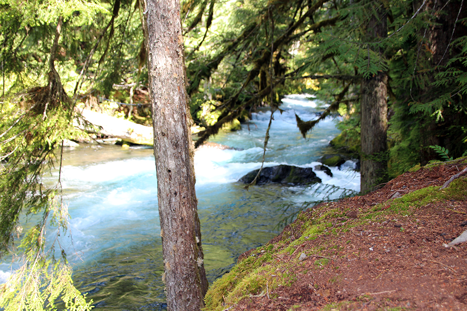 Sahalie and Koosah Falls