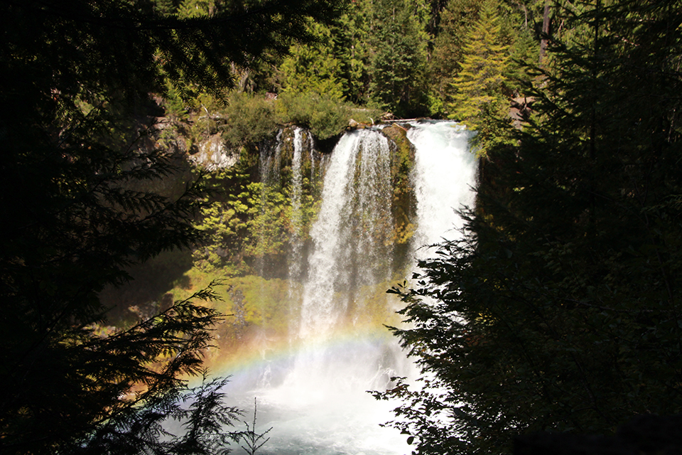 Sahalie and Koosah Falls