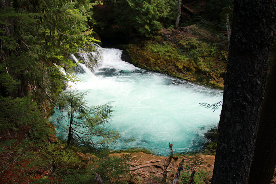 Sahalie and Koosah Falls