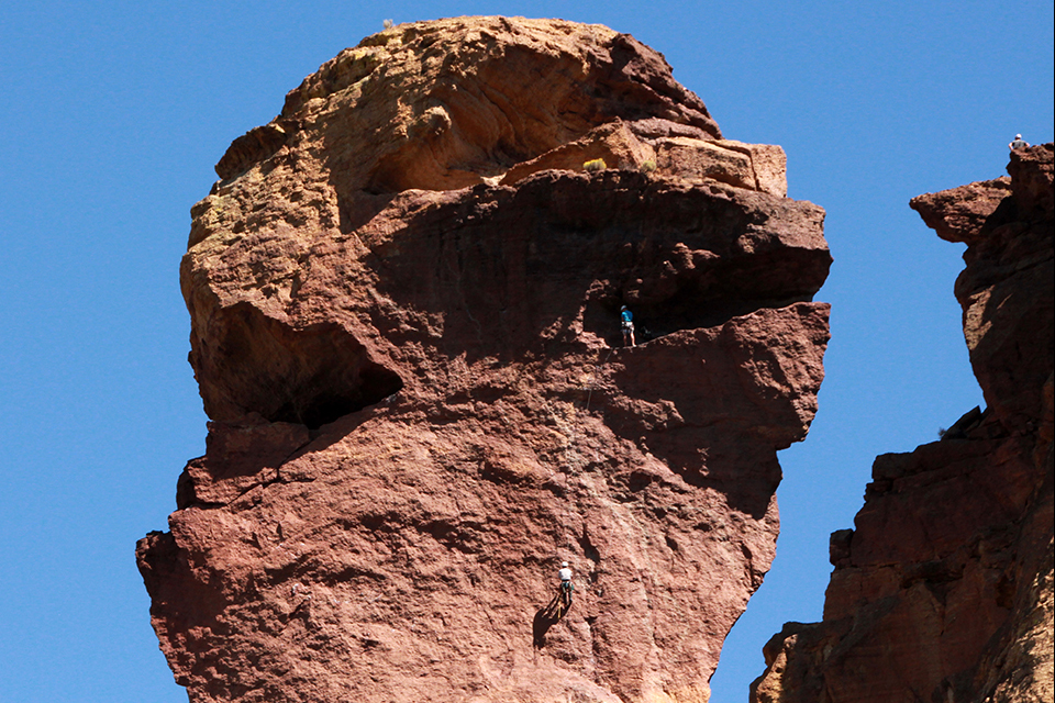 Monkey Face